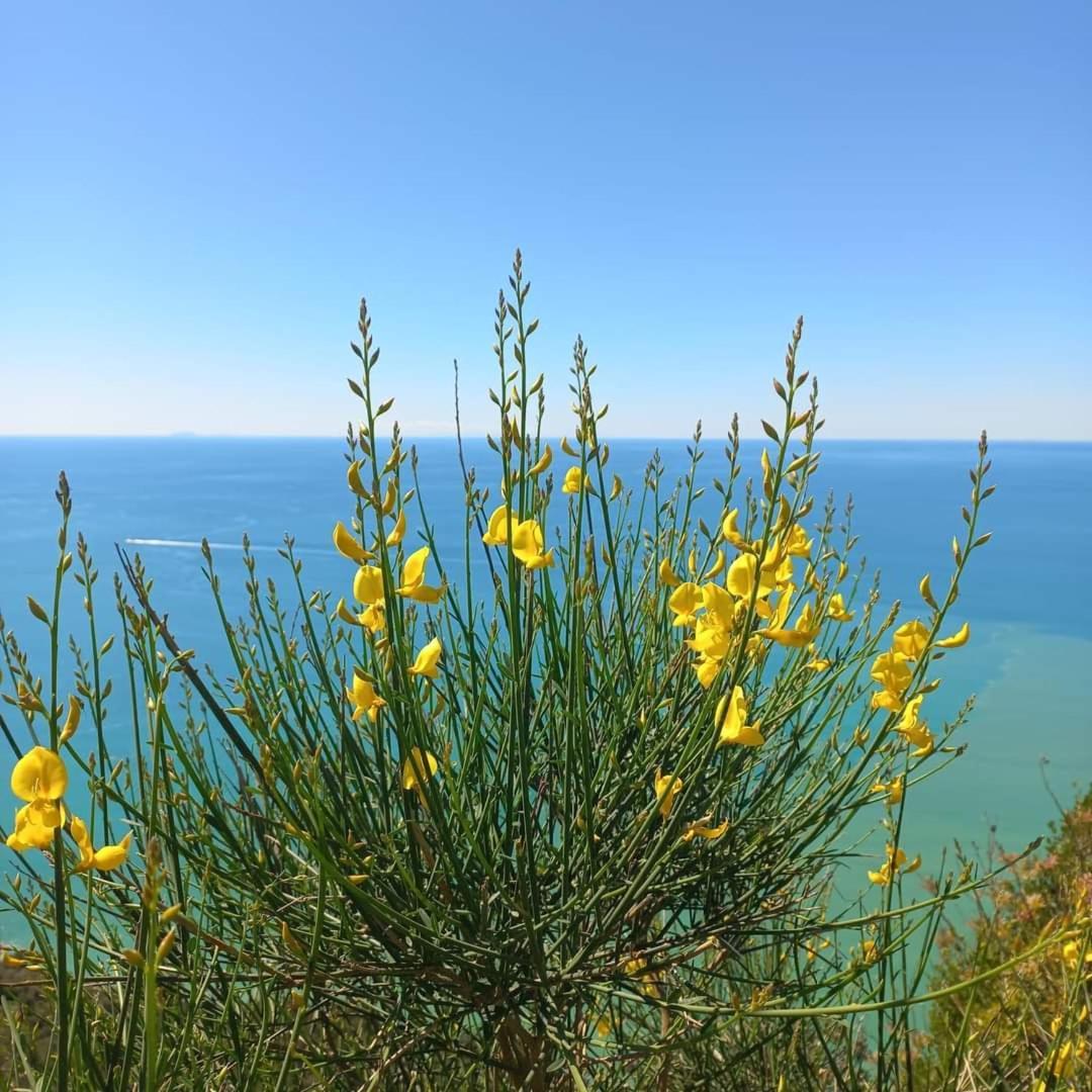 La Finestra Sul Parco Διαμέρισμα Λα Σπέτσια Εξωτερικό φωτογραφία
