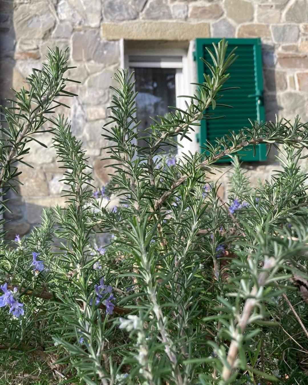La Finestra Sul Parco Διαμέρισμα Λα Σπέτσια Εξωτερικό φωτογραφία